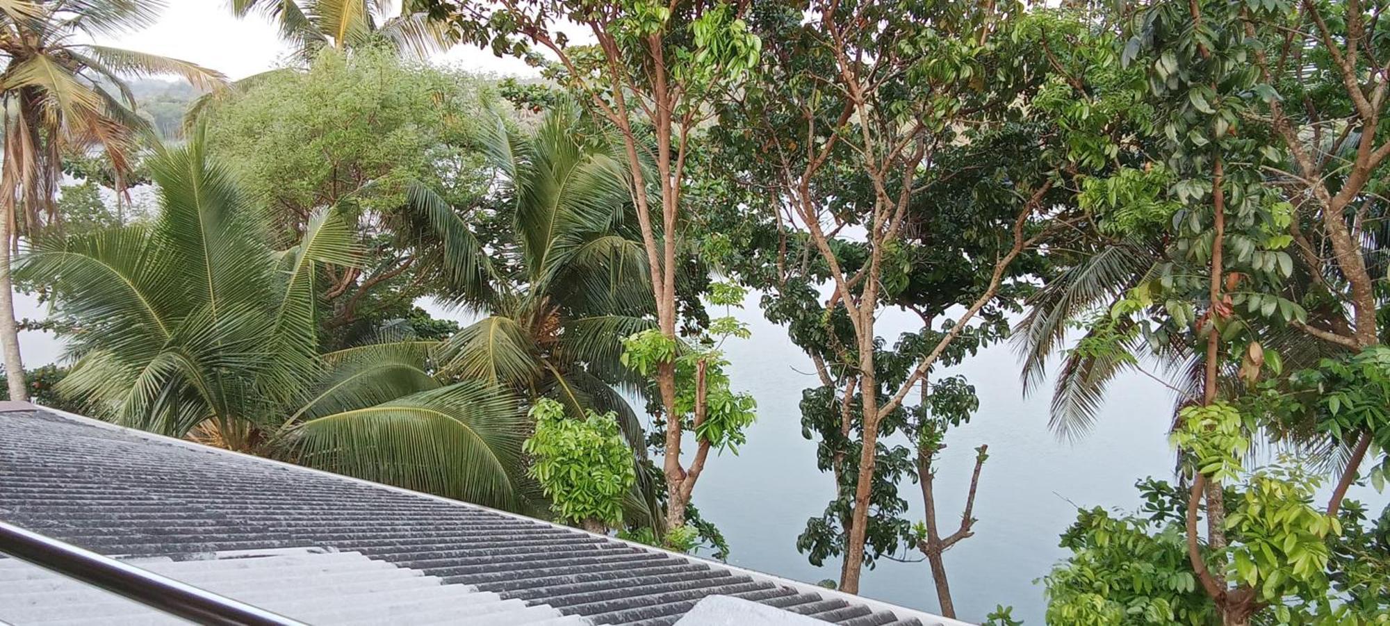 The Green Lagoon Villa Hikkaduwa Eksteriør billede